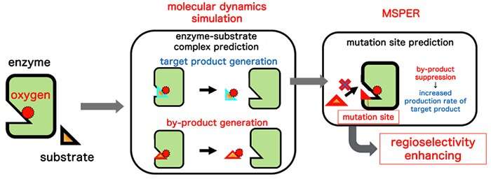 Effective modification of enzyme function by computational science