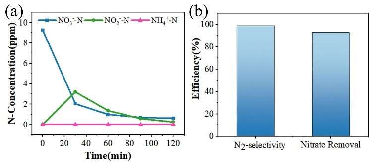 Efficient electrocatalytic reduction of nitrate to nitrogen: promising way to remove nitrogen from water