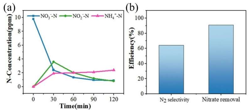 Efficient electrocatalytic reduction of nitrate to nitrogen: promising way to remove nitrogen from water