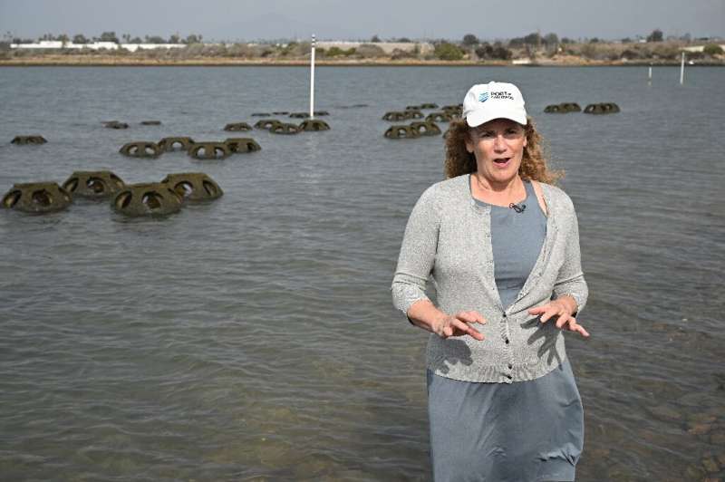 Eileen Maher, director of environmental conservation at the Port of San Diego, California, calls oysters 'one of the tools in ou