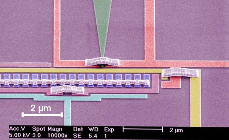 Electrons occupy fast and slow bands at the same time