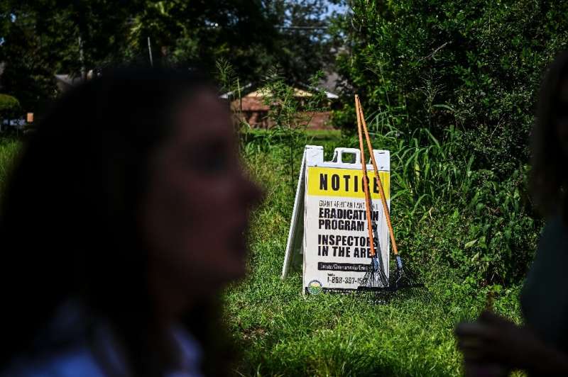 Employees of the Florida Department of Agriculture set up a notice board at an inspection ground as they search for giant Africa