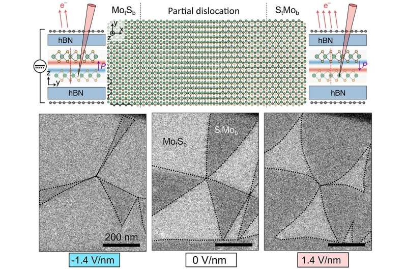 Engineering 2D semiconductors with built-in memory functions