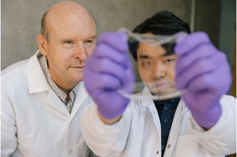 Les ingénieurs de l'UBC pénètrent dans la peau de la peau ionique