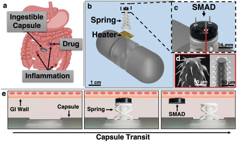 Engineers' new capsule aims to deliver drugs—and hope—to GI patients