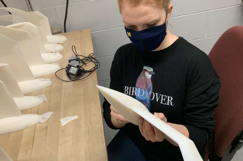 Engineers study bird flight