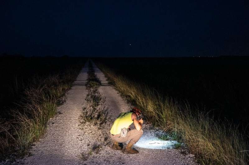Enrique Galan is professional hunter helping control the Everglades' python population, estimated to be in the tens of thousands