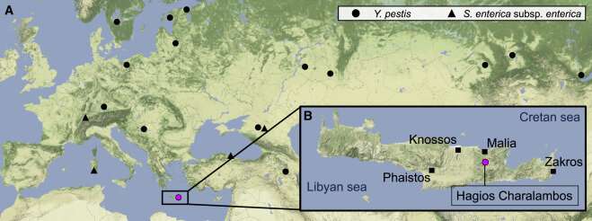 Evidence of pathogens in ancient DNA could help explain the fall of two civilizations