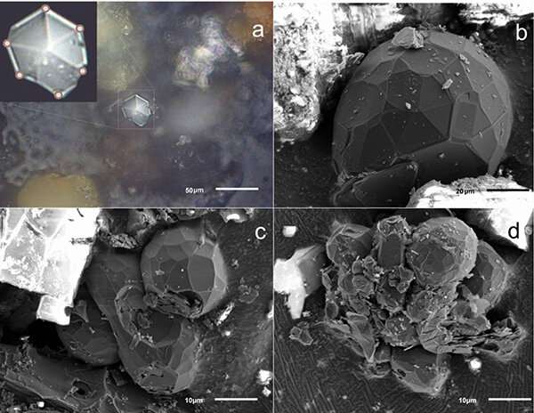 Exotic carbon microcrystals in meteorite dust
