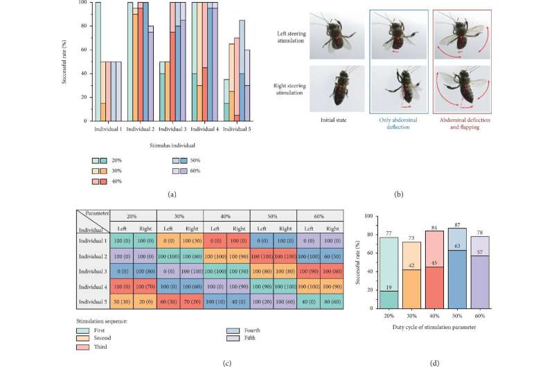 Experimental verification on steering flight of honeybee by electrical stimulation