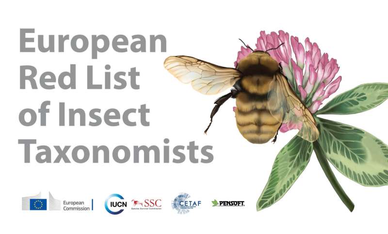 Experts in insect taxonomy “threatened by extinction” reveals the first European Red List of Taxonomists