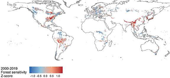 Exposure to past temperature variability may help forests cope with climate change