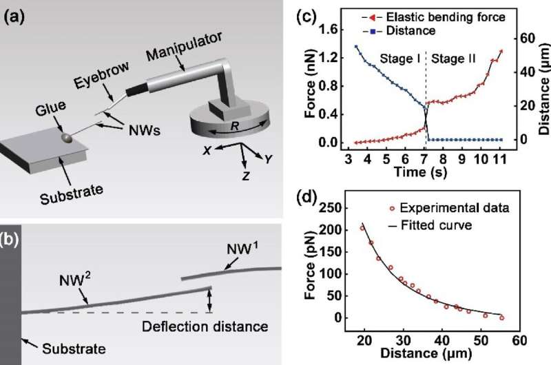 Eyebrow-raising: Researchers reveal why nanowires stick to each other