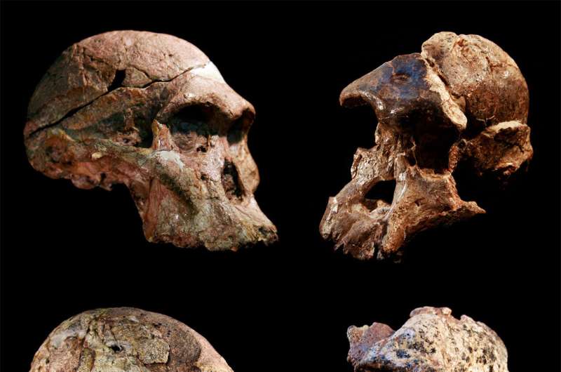 Famous Sterkfontein Caves deposit 1 million years older than previously thought