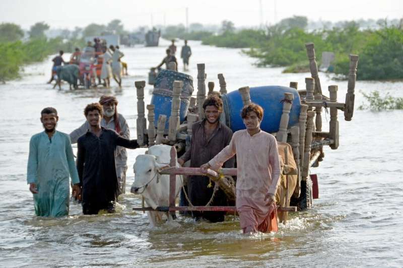 Farmers piled their belongings onto a cart and waded through flooded fields to seek dry land in Sindh