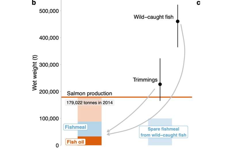 Feeding small fish to people instead of to farmed salmon could make seafood production more sustainable