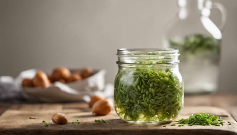 Fermented foods and fibre may lower stress levels—new study