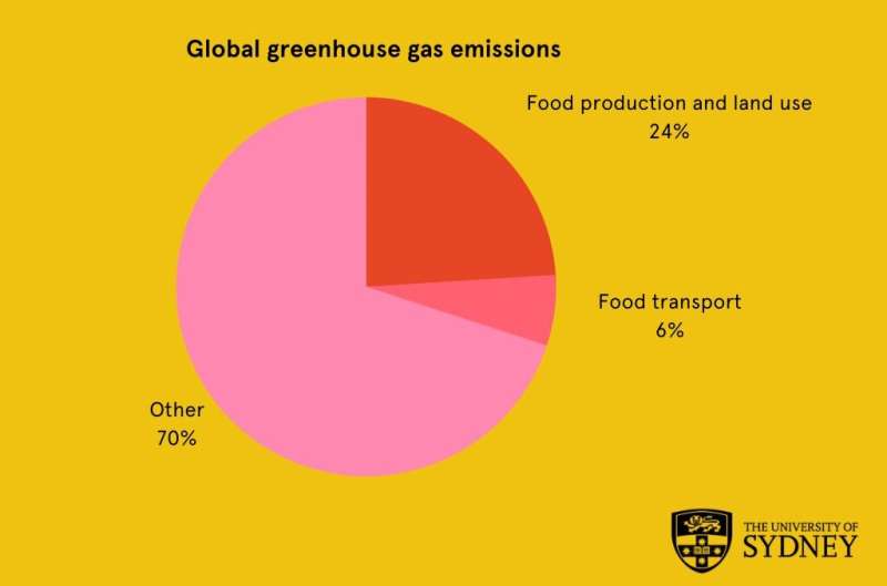 Fifth of global food-related emissions due to transport: research