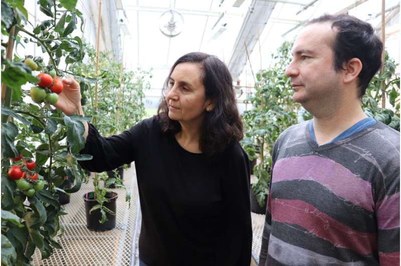 Finding genes to help fruit adapt to droughts