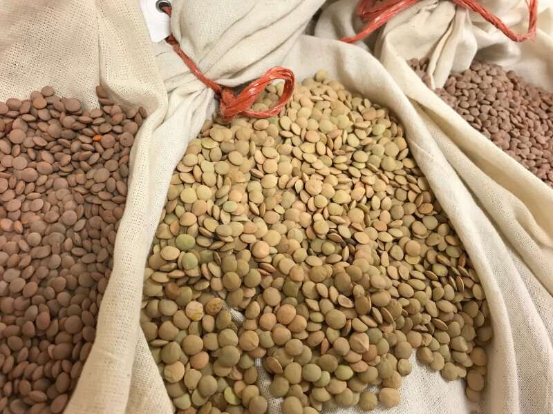 Finding the best lentil varieties for every farm