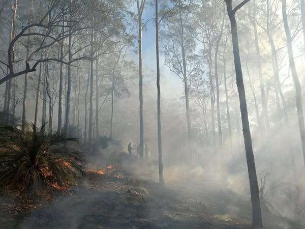 Fire management in Australia has reached a crossroads and ‘business as usual’ won’t cut it