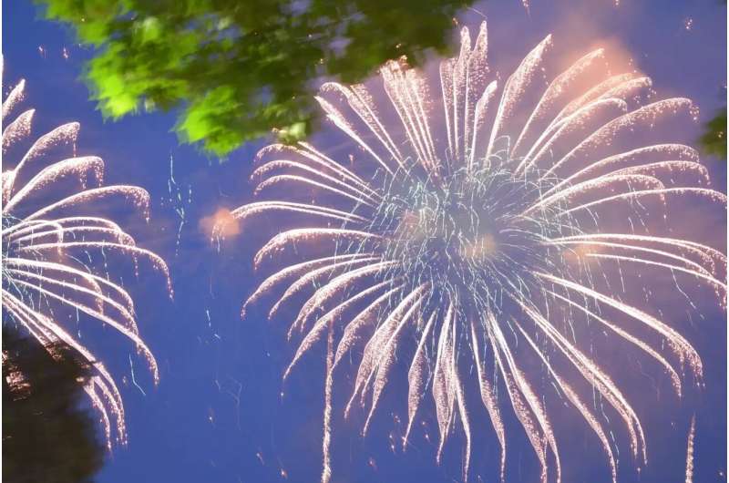 Fireworks have long-lasting effects on wild birds