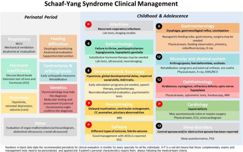 First clinical guideline on Schaaf-Yang syndrome for professionals and families