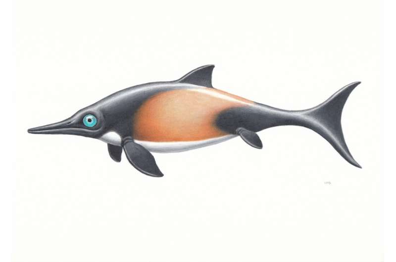 Fish-like marine reptile buried in its own blubber in Southern Germany 150 million years ago