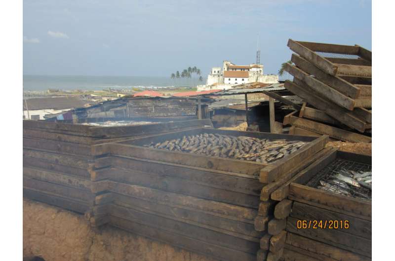 Fish smoking in coastal Ghana linked to high pollutant exposures, elevated health burden