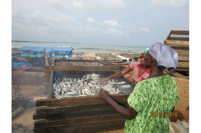 Fish smoking in coastal Ghana linked to high pollutant exposures, elevated health burden