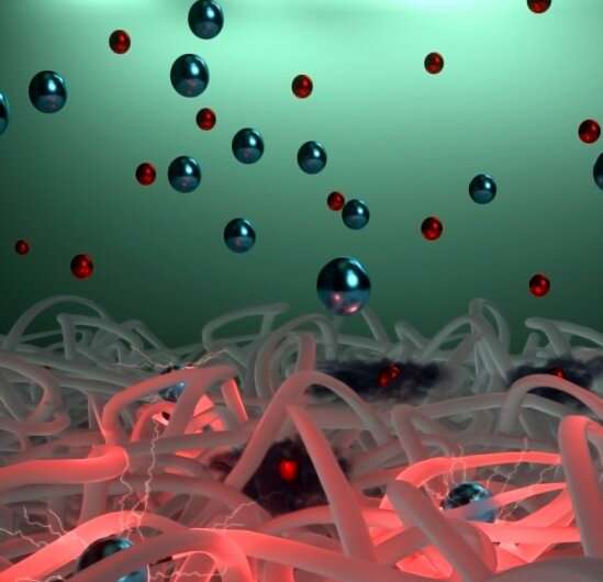 Conductive polymer holds promise for the next generation of organic electronics
 TOU
