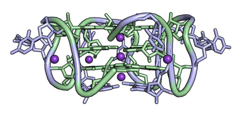Folds in pUG molecules turn off genes and could provide clues about human disease