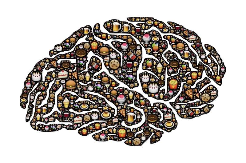 大脑的食物