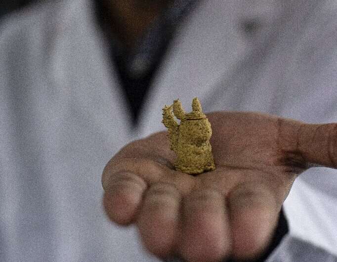 L'ingegnere alimentare Roberto Lemus mostra un campione di una caramella per bambini a base di alga cochayuyo e farina di riso, presso il laboratorio di Chi