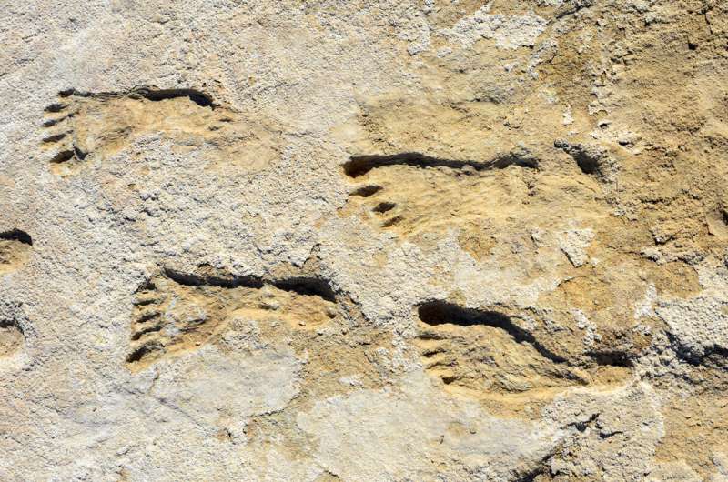 Footprints claimed as evidence of ice age humans in North America need better dating, new research shows