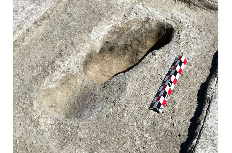 Footprints from the late Ice Age some 12,000 years ago were discovered in the US state of Utah when researchers driving past in 