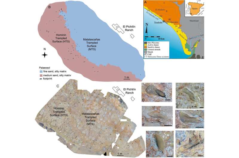 Voetafdrukken duiden op menselijke aanwezigheid in Zuid-Spanje in het Midden-Pleistoceen