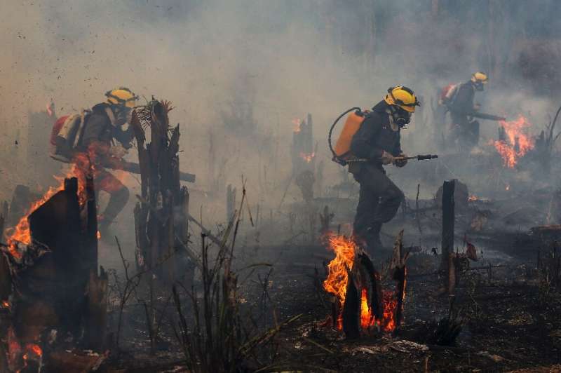 For MapBiomas, the spike in November 2022's fire numbers was a surprise -- the month usually coincides with the rainy season