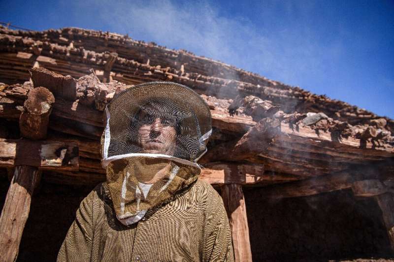 For the villagers of Inzerki, the collapse of hives is an ecological and economic disaster—but also a crisis for their unique he