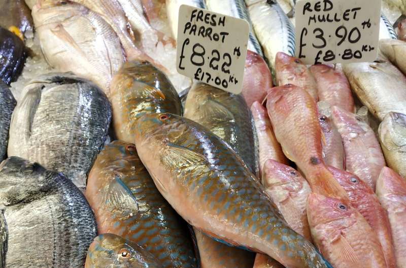 Las flotas pesqueras extranjeras y el comercio están quitando los nutrientes del pescado a las personas desnutridas