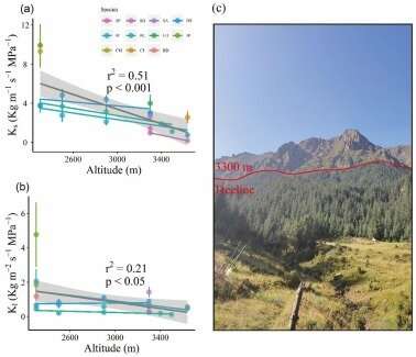 Forest community dynamics and the response to climate change in Qilian Mountains