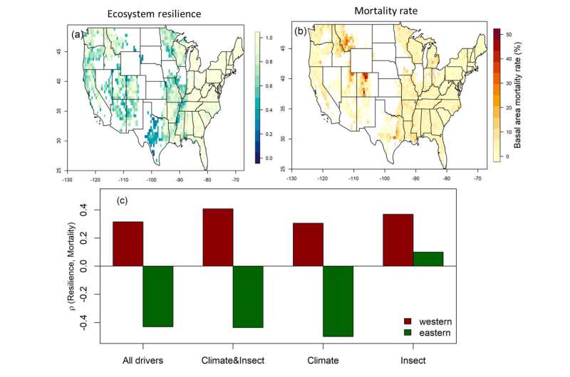 Forest resilience linked with higher mortality risk in western US, study finds