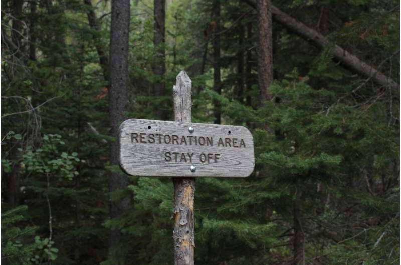 Forest restoration