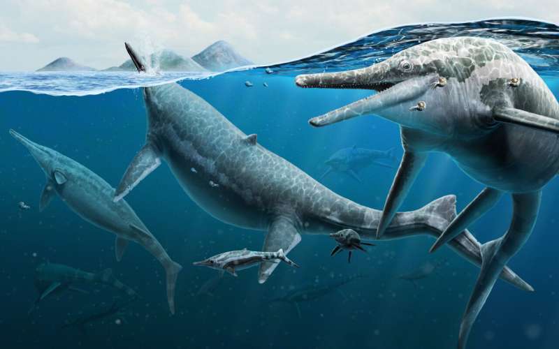 Fossil CSI: Analysis of giant extinct marine reptile graveyard suggests mysterious site was ancient birthing grounds