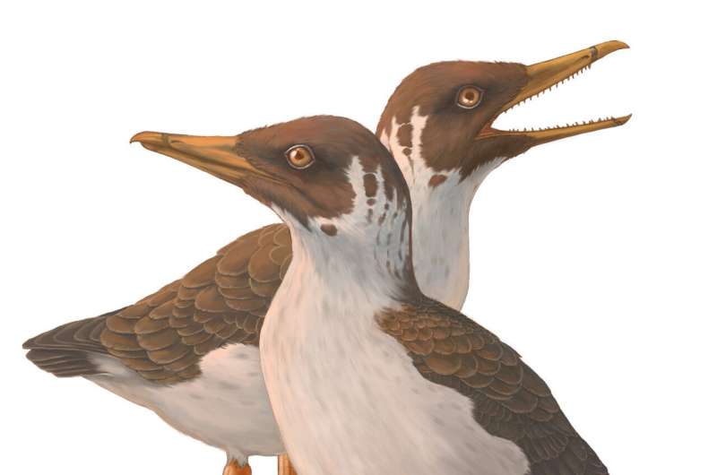 Fossil overturns more than a century of knowledge about the origin of modern birds