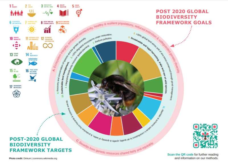 Fostering policy dialogue and knowledge exchange of pollinator protection: new Safeguard policy brief