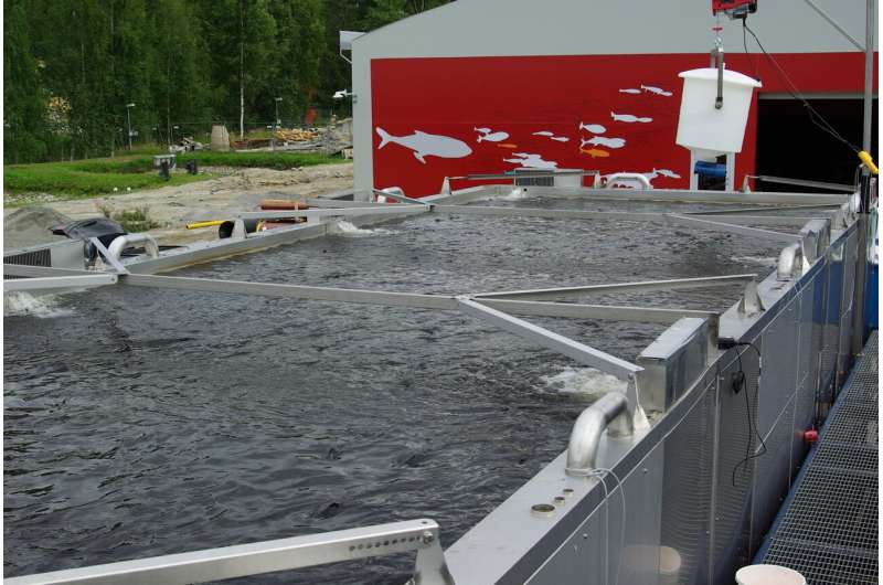 From a container into a concept—the PaRAS method resolves challenges in recirculating fish farming