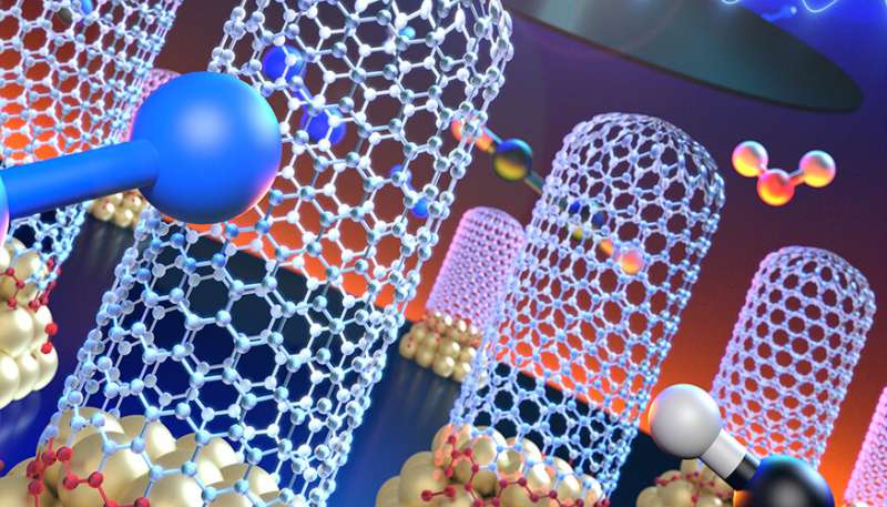 From batteries to water purifiers, carbon nanotubes are where it's at