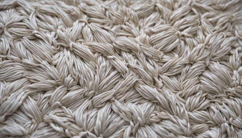 From textile waste to high fashion: A fiber's journey