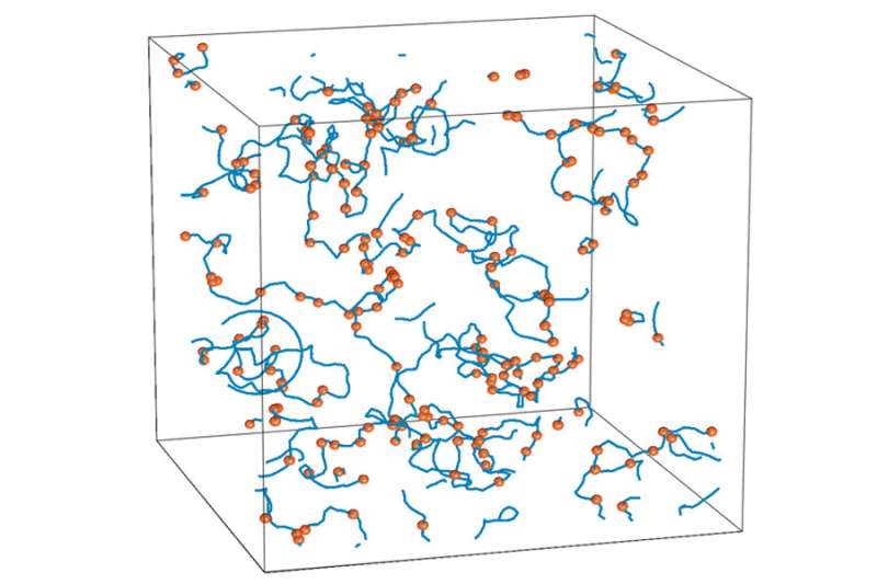 FSU researchers expand understanding of vortex spread in superfluids